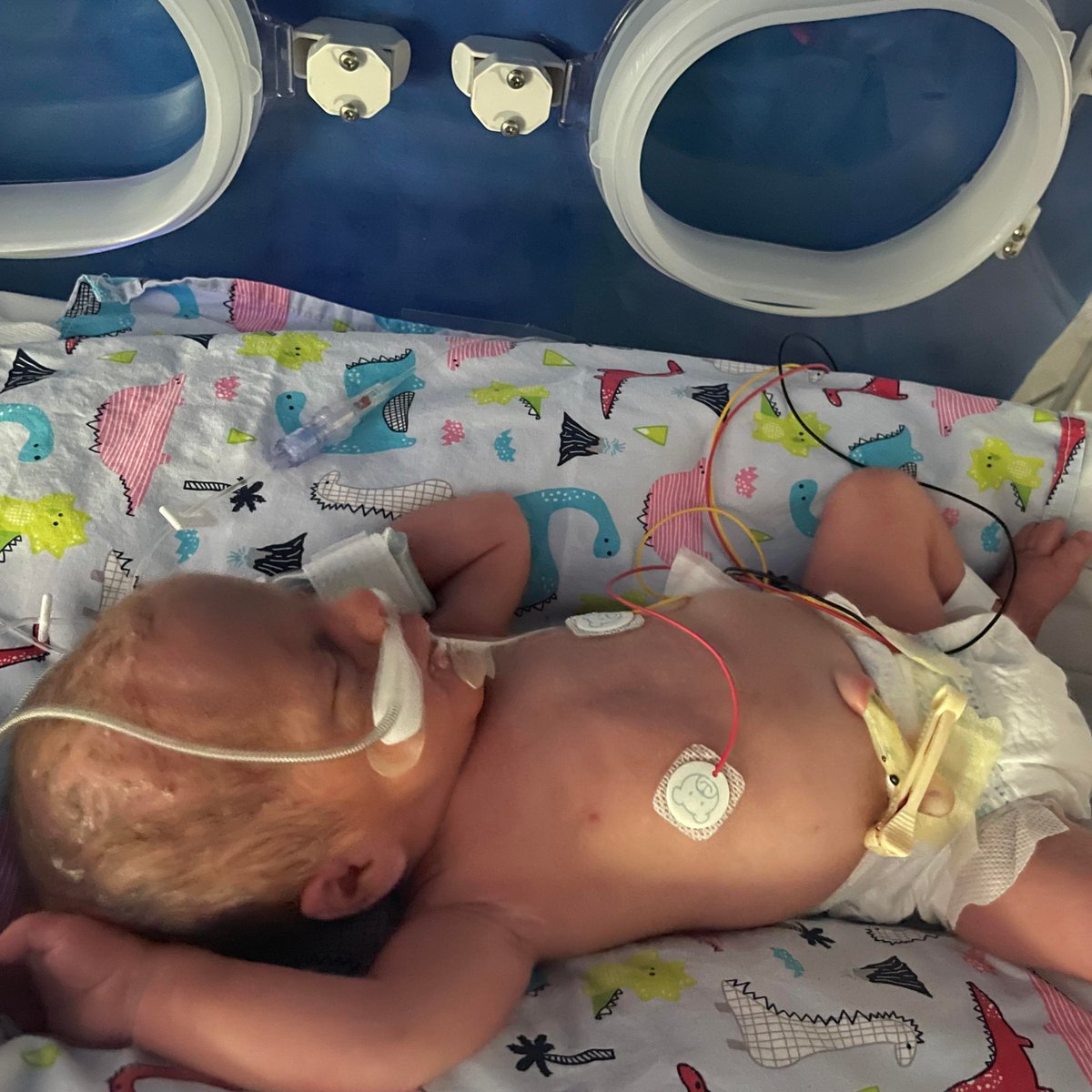 Amy SNUG tweet media