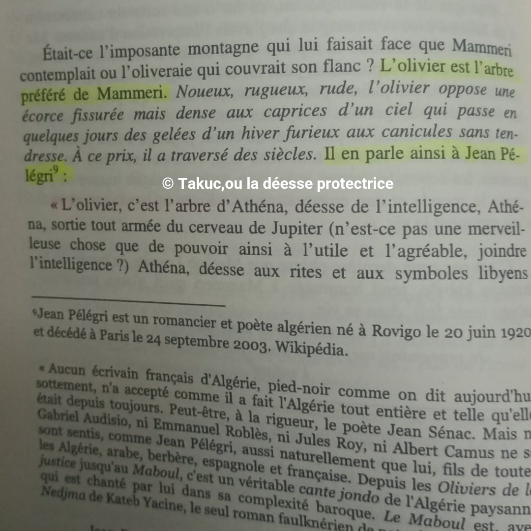 takuct_deesse's tweet photo. #Olivier #méditerranée #kabylie #écrivain #MouloudMammeri #mammeri #livre #book #adlis https://t.co/HuZc8DwMMr