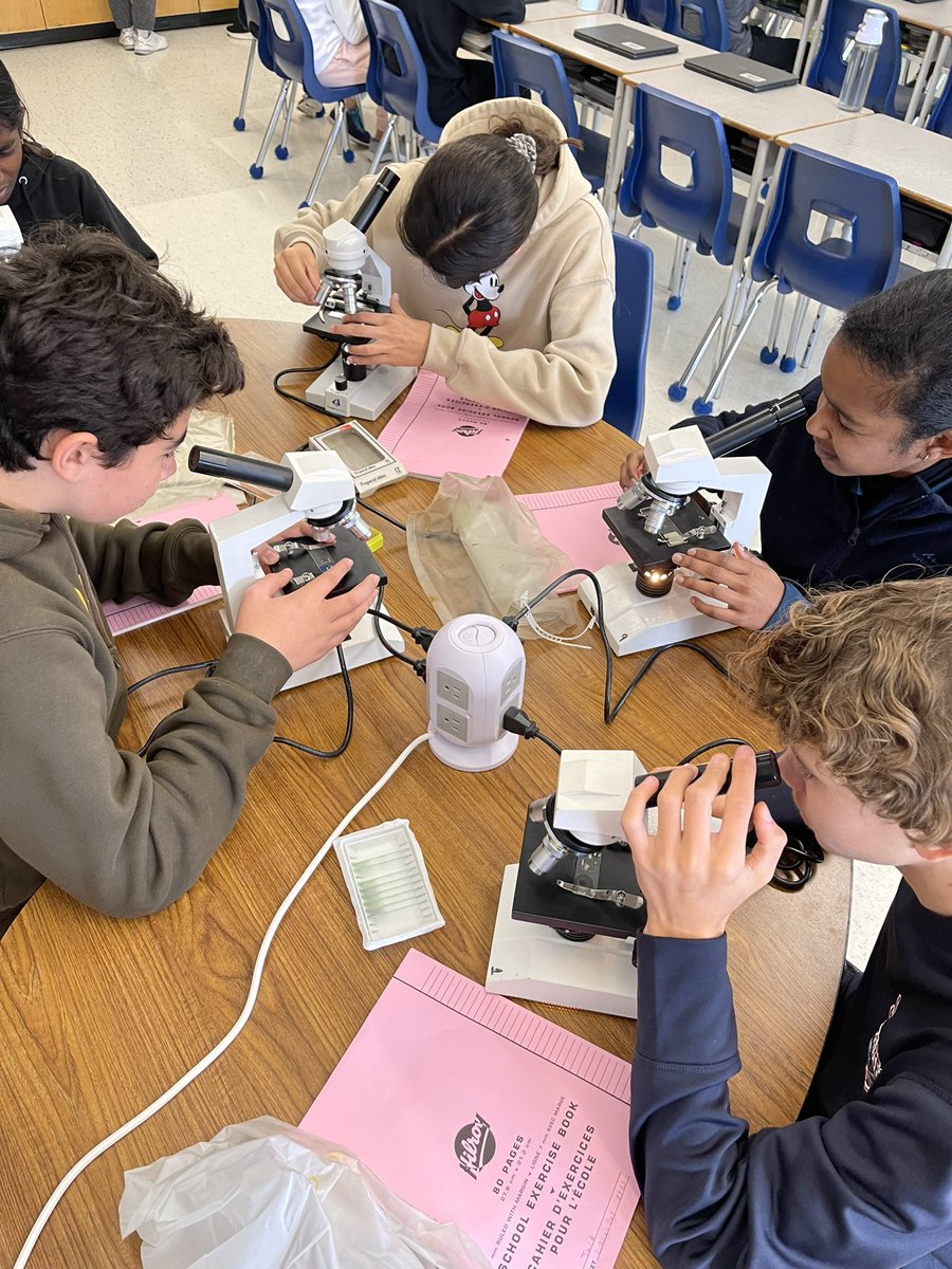 Look at my scientists! Gr 8s hard at work examining specimens and learning how to properly care for the microscope!
