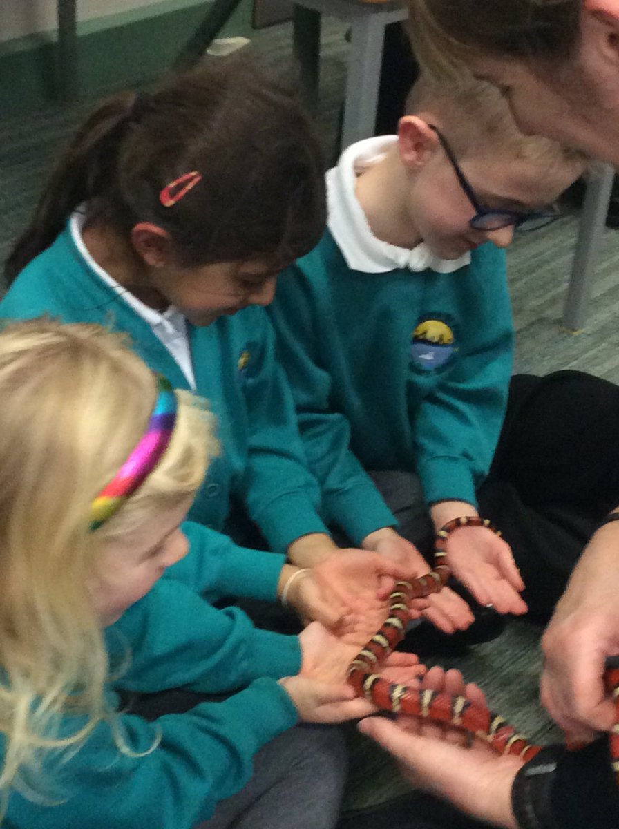 St Peter & St Paul tweet media