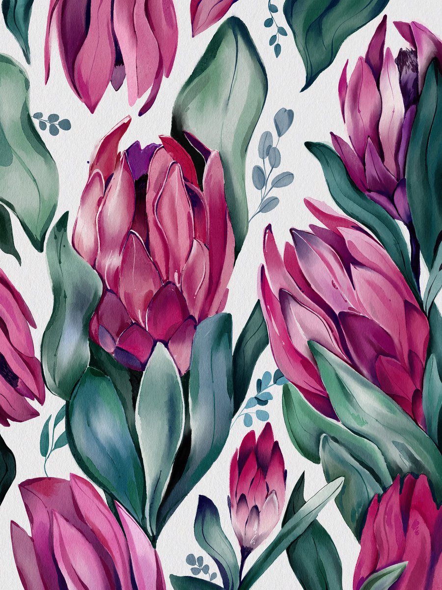 Drawing flowers for me is sooo calming. Like meditation 

Proteas ♥️