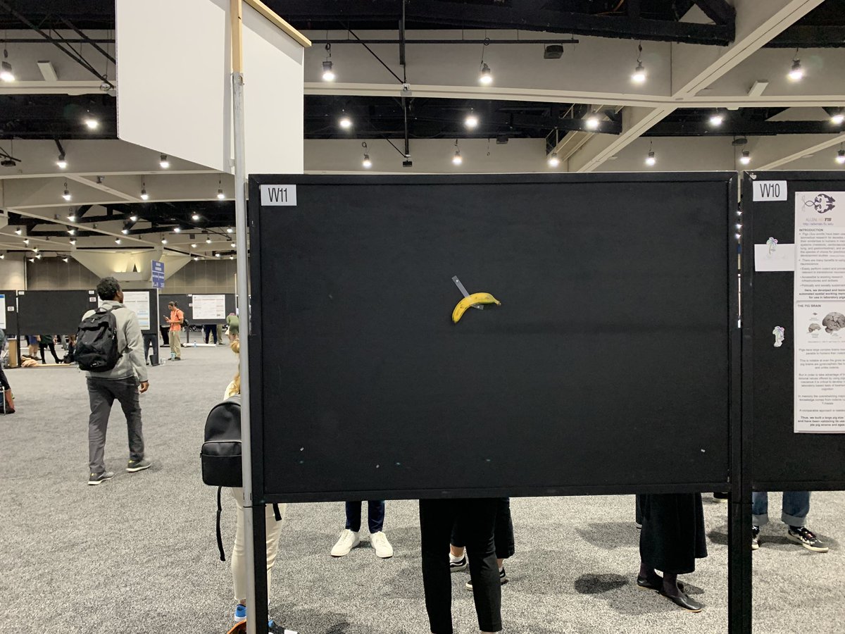 lin_xiaoxiong's tweet photo. Best poster of #SfN2022 https://t.co/B5csymIrbC