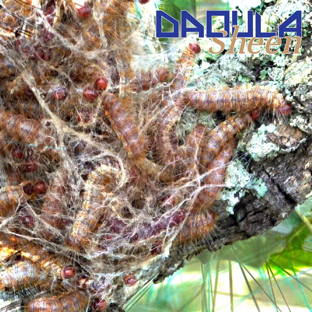 efluxeducation's tweet photo. Matters of Activity, Cluster of Excellence at Humboldt-Universität zu Berlin presents “DAOULA / sheen: West African Wild Silk on its Way,” November 17, 2022–April 29, 2023.

Exhibition opens November 17, 2022.

#daoulasheen
#mattersofactivity
@exc_moa

https://t.co/IN8BzcWPKS https://t.co/2SwpoB5WX7