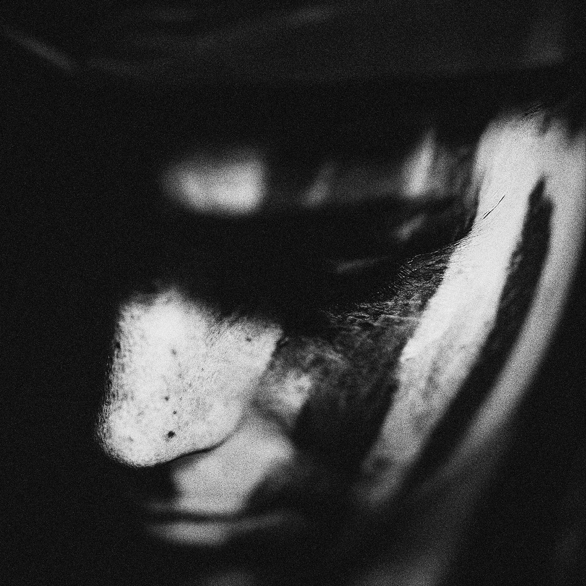 The many faces of Aloy

#HorizonForbbidenWest #guerillagames #Aloy #PlayStation #Playstation5