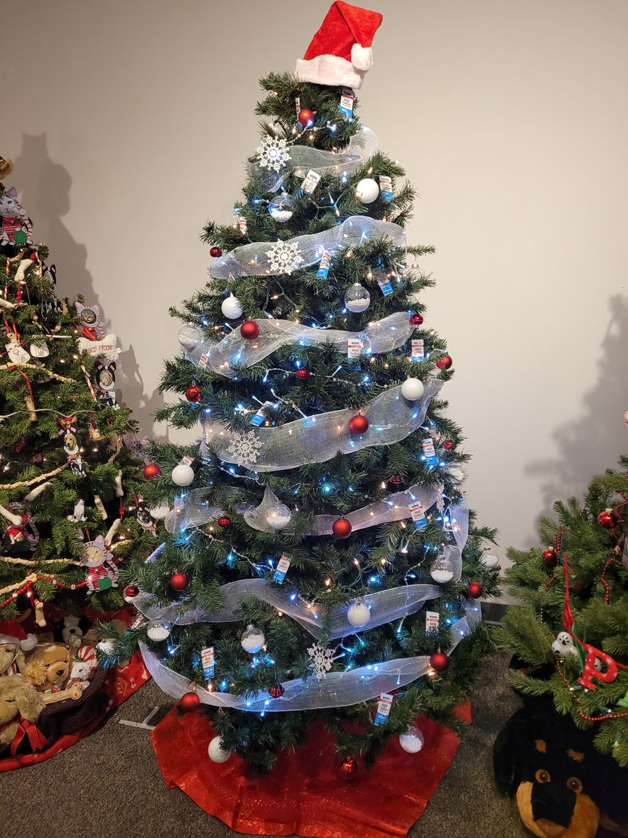 BTBOCES PTECH Health (@btbocesptechhs) on Twitter photo PTECH Health 10 and 11 has some more news. We are in the process of decorating our tree for <a href="/Roberson_Museum/">Roberson Museum</a> #HomeFortheHolidays ! We aren't finished, but we are getting there. <a href="/SoTierPTECH/">Southern Tier P-TECH</a> @BroomeBOCES <a href="/SoTierPTECH/">Southern Tier P-TECH</a> #PTECHproud #BeforeAfter PTECH Health 10 and 11 has some more news. We are in the process of decorating our tree for <a href="/Roberson_Museum/">Roberson Museum</a> #HomeFortheHolidays ! We aren't finished, but we are getting there. <a href="/SoTierPTECH/">Southern Tier P-TECH</a> @BroomeBOCES <a href="/SoTierPTECH/">Southern Tier P-TECH</a> #PTECHproud #BeforeAfter