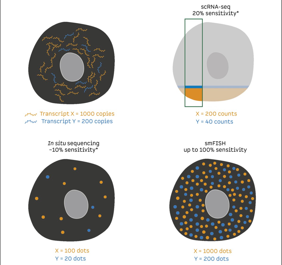 ResolveBioSci's tweet photo. Why does sensitivity matter in detecting transcripts in tissue samples? This image shows the sensitivity comparison between #scRNAseq, #insitu #sequencing and #smfish. Each dot represents one transcript. 

#singlecell #genomics #omics #spatialbiology https://t.co/nnJkV7QpPx
