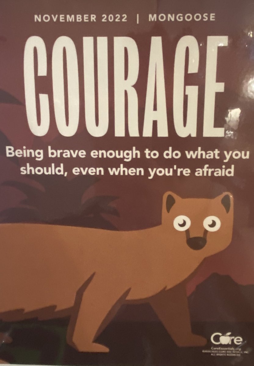 KrollMary's tweet photo. Thank You @_ryannelise for #979!
Our lesson today for courage! #coreessentials @KrauseElem @BrenhamISD https://t.co/8Y9QzpKbyE
