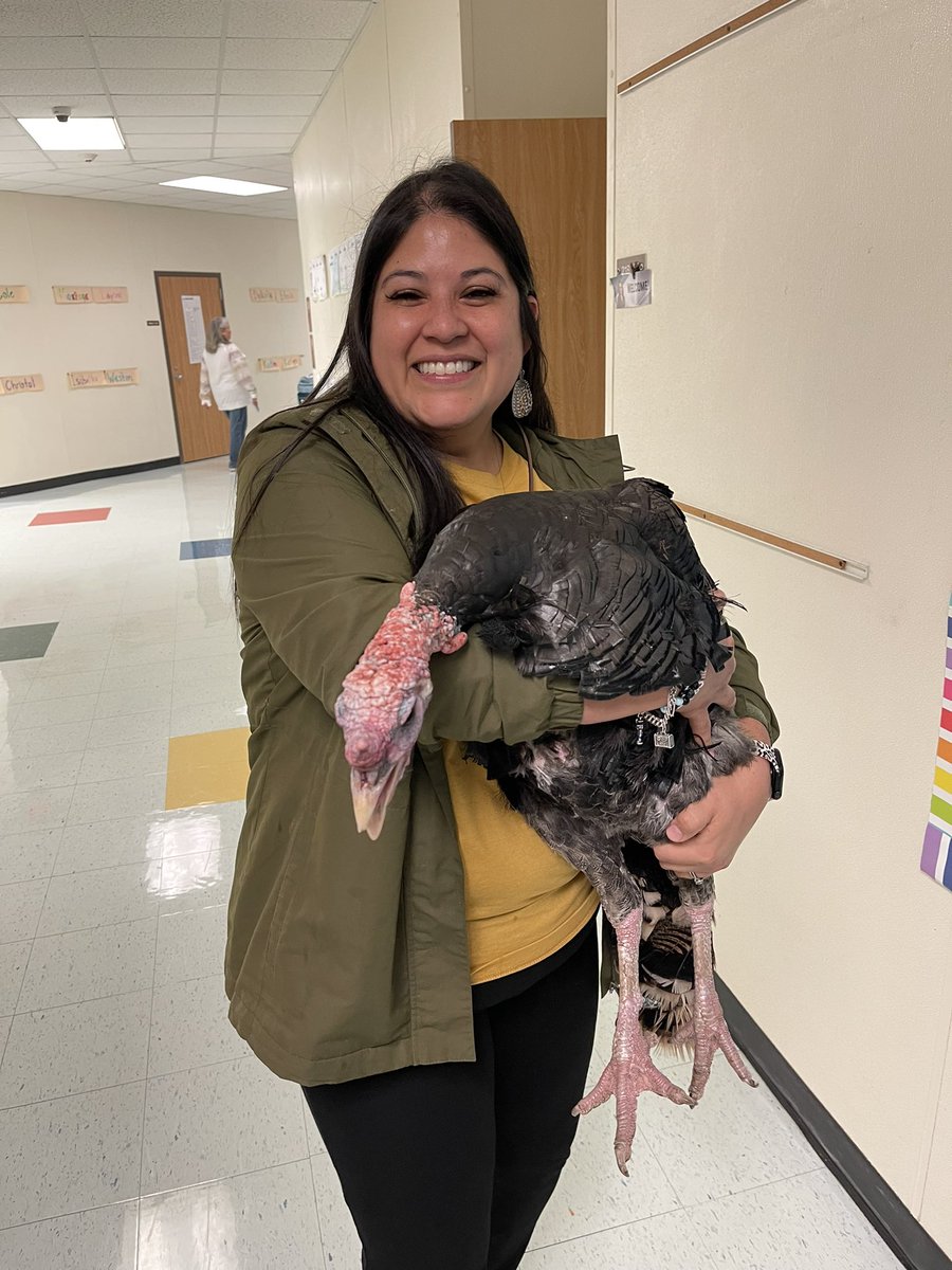 Mrs. Rebolledo tweet media