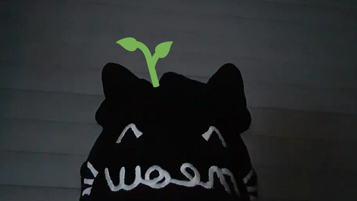 HanseCatBeanie's tweet photo. #VictonThings Wonderland please speak to me, come on Alices, let's talk. What is your favourite Victon dance performance or cover?
@VICTON1109 ☆ #VICTON https://t.co/pyIhNfhNCX
