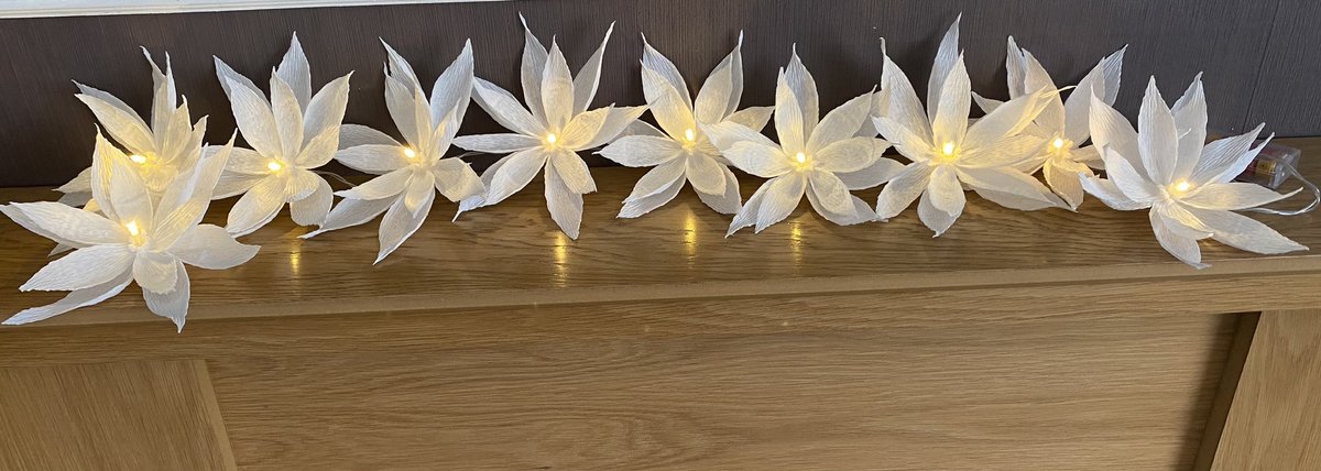 annagti93's tweet photo. Crisp white set of 10 fairy light flowers these look beautiful ❤️#handmadehour #handmadenation #handmadebyme #womeninbiz #crafthour #fairy #lights #led #gift #ideas https://t.co/U2KtPJcOS9