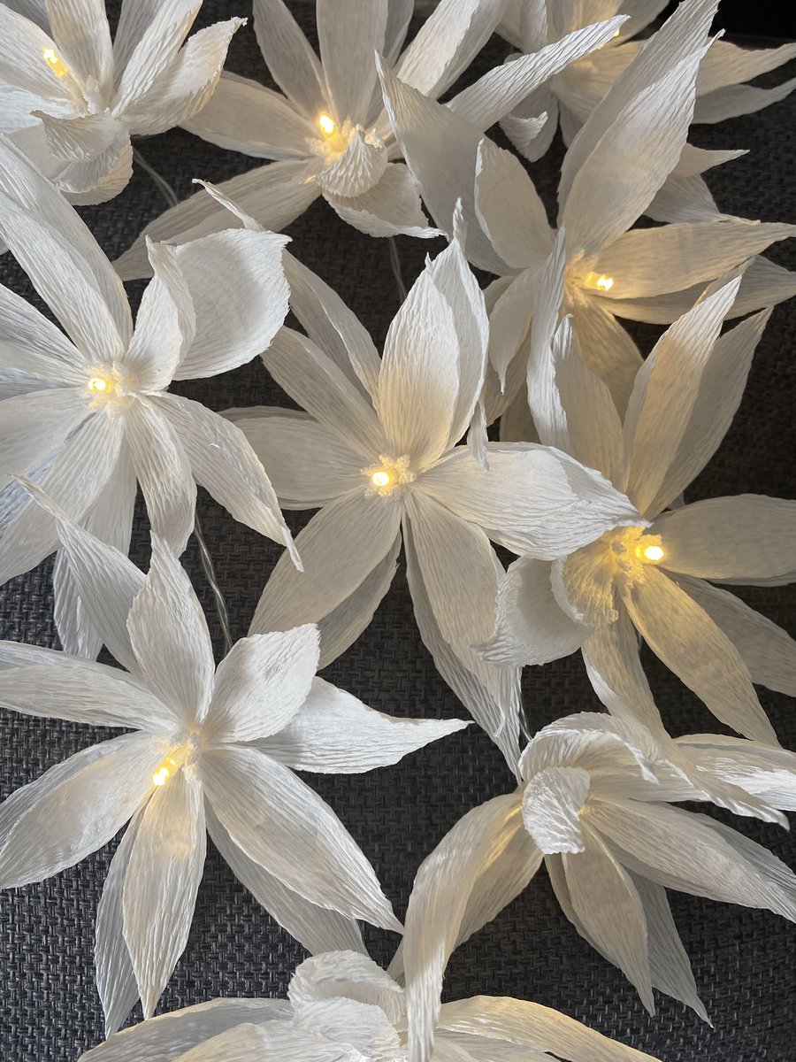 annagti93's tweet photo. Crisp white set of 10 fairy light flowers these look beautiful ❤️#handmadehour #handmadenation #handmadebyme #womeninbiz #crafthour #fairy #lights #led #gift #ideas https://t.co/U2KtPJcOS9