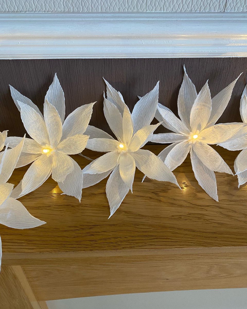 annagti93's tweet photo. Crisp white set of 10 fairy light flowers these look beautiful ❤️#handmadehour #handmadenation #handmadebyme #womeninbiz #crafthour #fairy #lights #led #gift #ideas https://t.co/U2KtPJcOS9