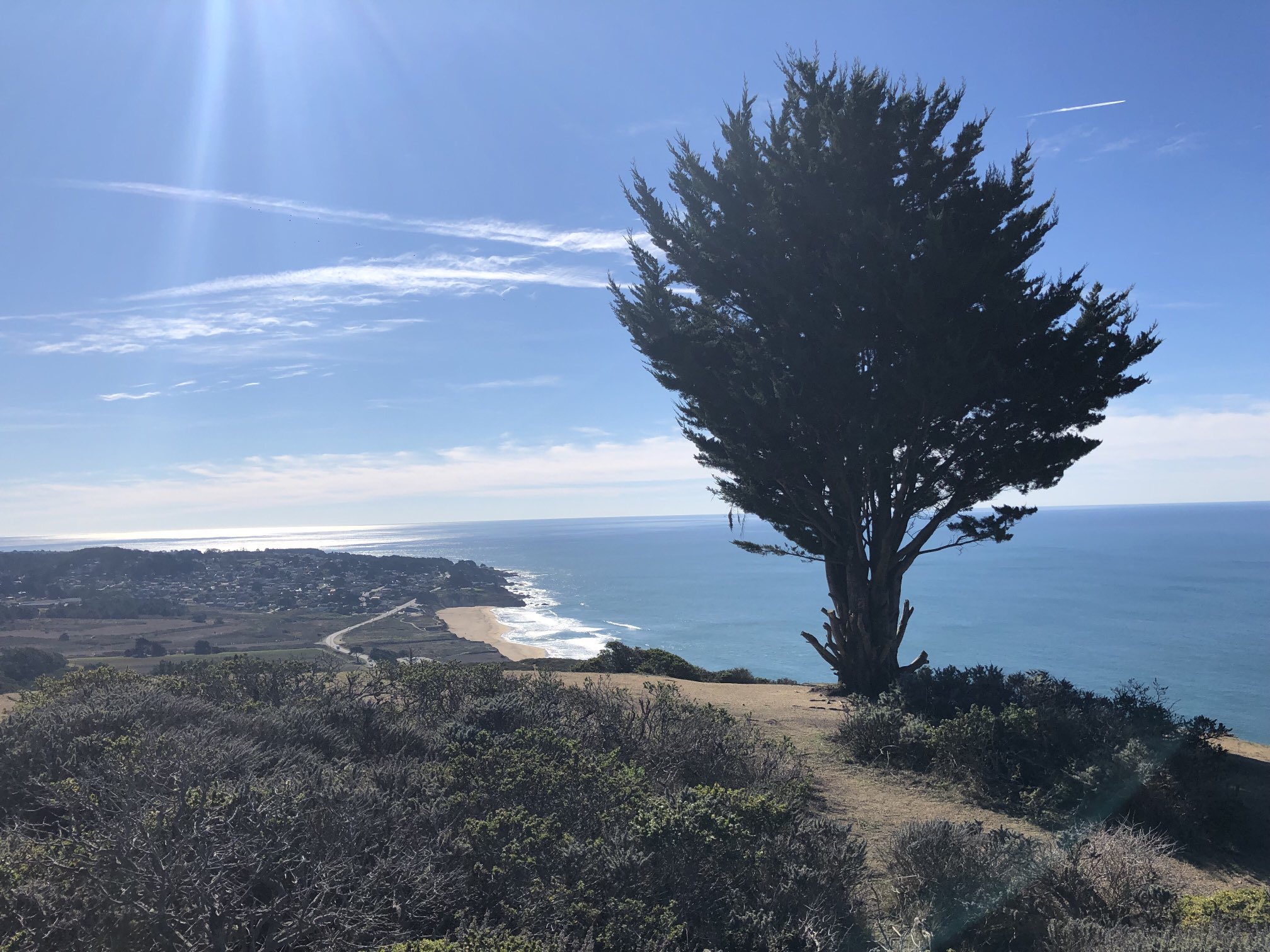 Seldon Crisis Podcast on Twitter 