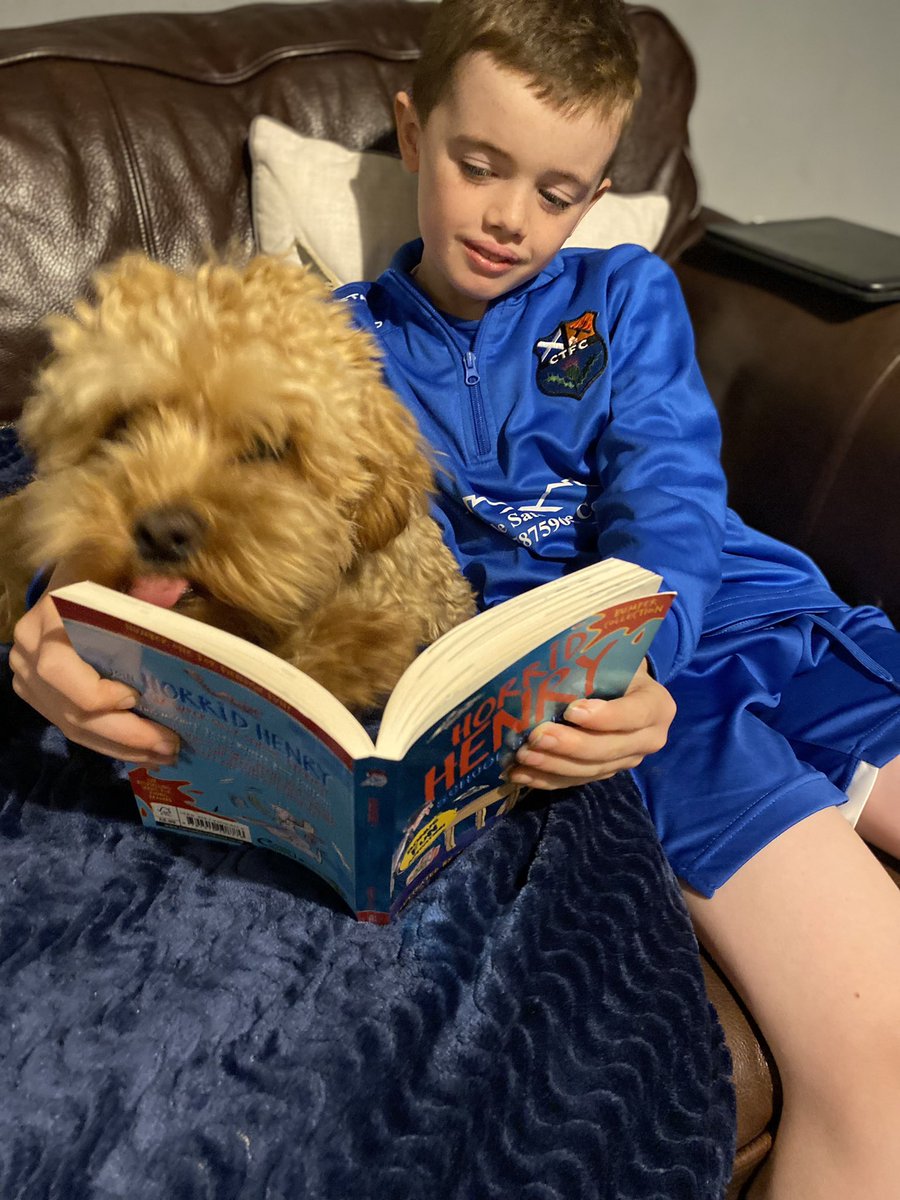 christineeacam1's tweet photo. Fergie 🐶enjoying a Horrid Henry story so much he looks like he wants to eat it up 😅@CallanderP #Bookweekscotlandpets https://t.co/JYKUIB1FEZ