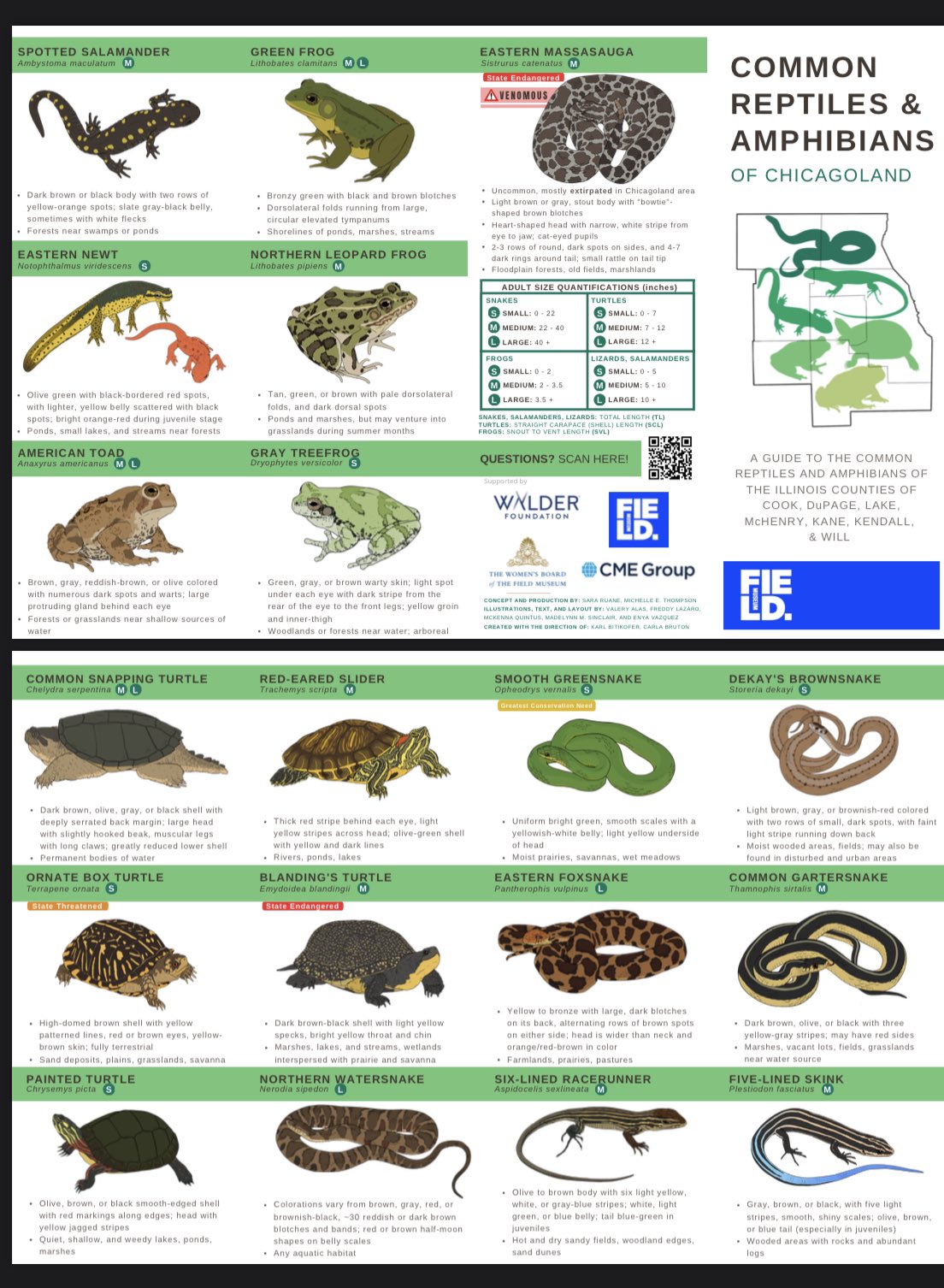 Sara Ruane on Twitter: 