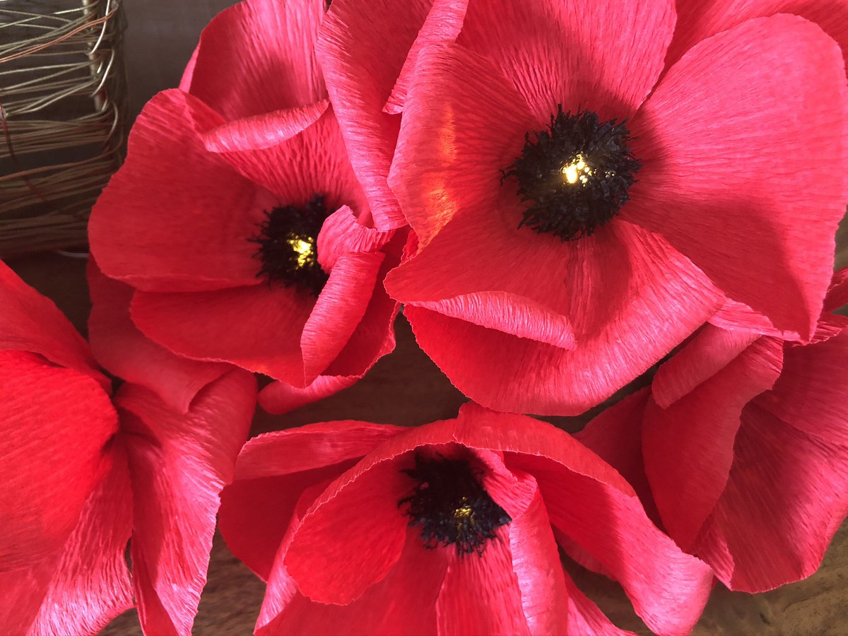 annagti93's tweet photo. Poinsettia and Poppy fairy lights available in 10 or 20 bulb https://t.co/HywBDMcXc3 #handmadehour #handmadenation #womeninbiz #Christmas #gift #ideas #fairy #lights #love #flowers https://t.co/eUNDw0DtJN