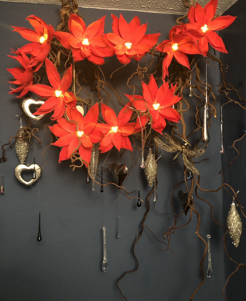 annagti93's tweet photo. Poinsettia and Poppy fairy lights available in 10 or 20 bulb https://t.co/HywBDMcXc3 #handmadehour #handmadenation #womeninbiz #Christmas #gift #ideas #fairy #lights #love #flowers https://t.co/eUNDw0DtJN
