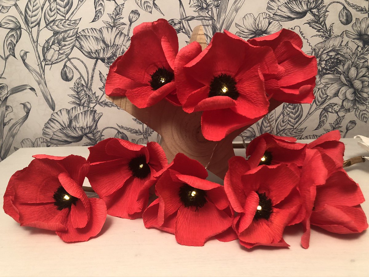 annagti93's tweet photo. Poinsettia and Poppy fairy lights available in 10 or 20 bulb https://t.co/HywBDMcXc3 #handmadehour #handmadenation #womeninbiz #Christmas #gift #ideas #fairy #lights #love #flowers https://t.co/eUNDw0DtJN