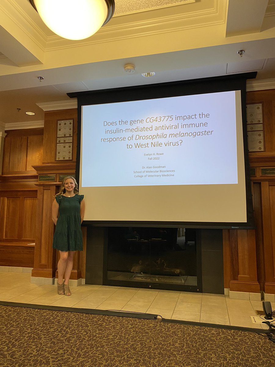 GoodmanLabWSU's tweet photo. Over the past two weeks, four students from the lab defended their Honors or PhD theses. Congrats to Ben, Evelyn, Marena, and Chasity (@trammellce) for all of your hard work 🎉👏🍾🎓 Seeing your successes is the best part of this job! https://t.co/UMN44hkvdp