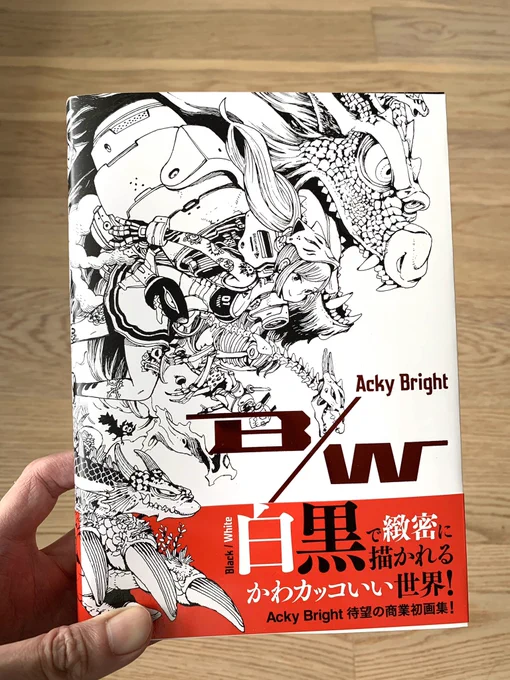 Just got my copy of Japanese illustrator Acky Bright's art book B/W, with lots of cool drawings ! My review in the coming week/s アッキーブライト ビーダブリュー - https://t.co/lCiCWOoXUV @aki001208 