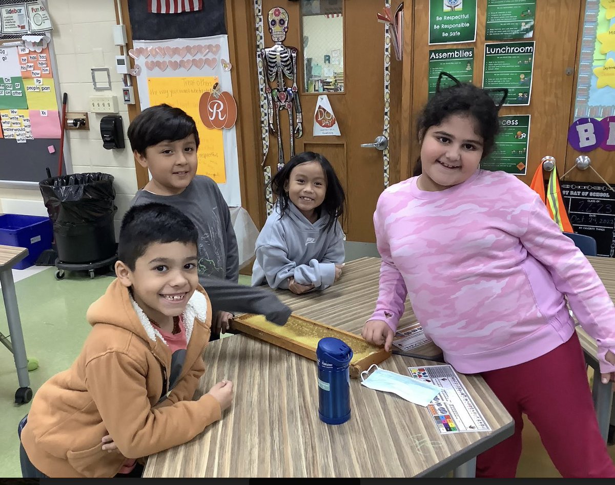 bells0701's tweet photo. Fun in 2nd grade with authentic learning about Bees!  Literacy Enrichment - extending the text!  #62Learns #62PL https://t.co/5toC2CbegH