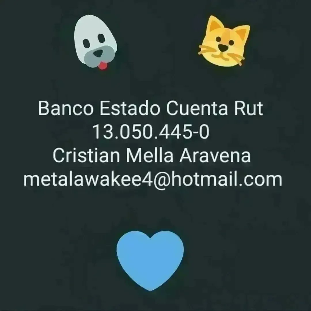 Kristian_Mella's tweet photo. Y SI LE PERMITIMOS UN REFUGIO A #Ditter🐶 

Desde el momento que me enteré de este caso, no ví otra posibilidad que ayudar, muchos vieron eutanasia yo ví esa posibilidad

Ustedes fueron la causa de este resultado. Entonces ahora les vengo a pedir me que ayuden a llevar a Ditter🐶 https://t.co/sThxSM38ue