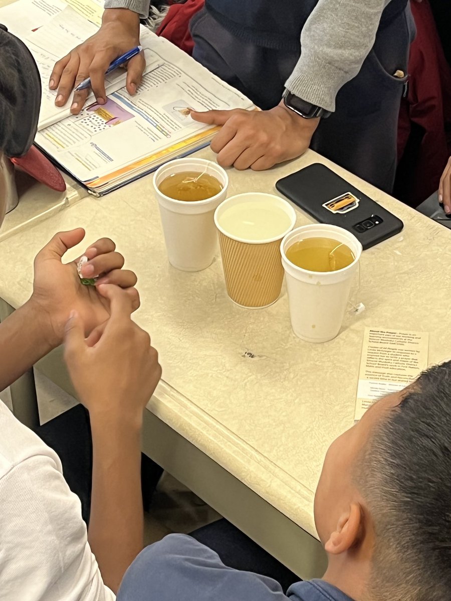 RLeehing's tweet image. ⁦@TCDSBHOLYSPIRIT⁩  ⁦Great day in Science class today. My students worked in groups to observe and record Diffusion of tea particles into surrounding water. Investigating how the tea bag acted as a selectively permeable membrane in different temperatures of water.