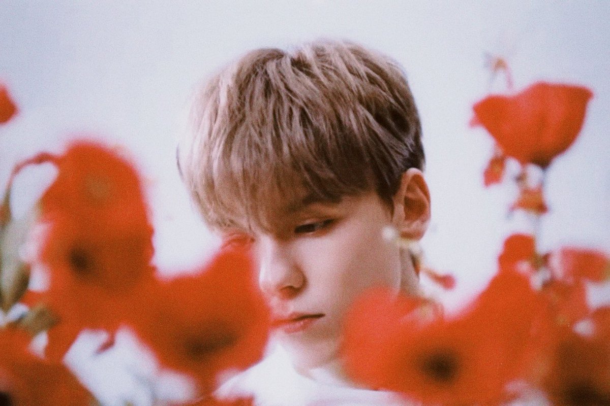 svtframes's tweet image. red black and white in fallin flower featuring #mingyu and #vernon