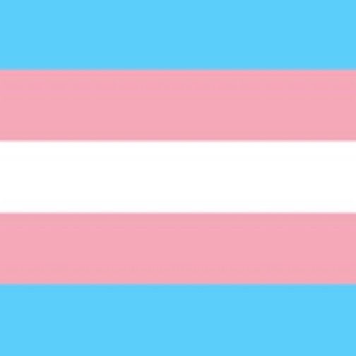 ghost from 'call of duty' is trans!!