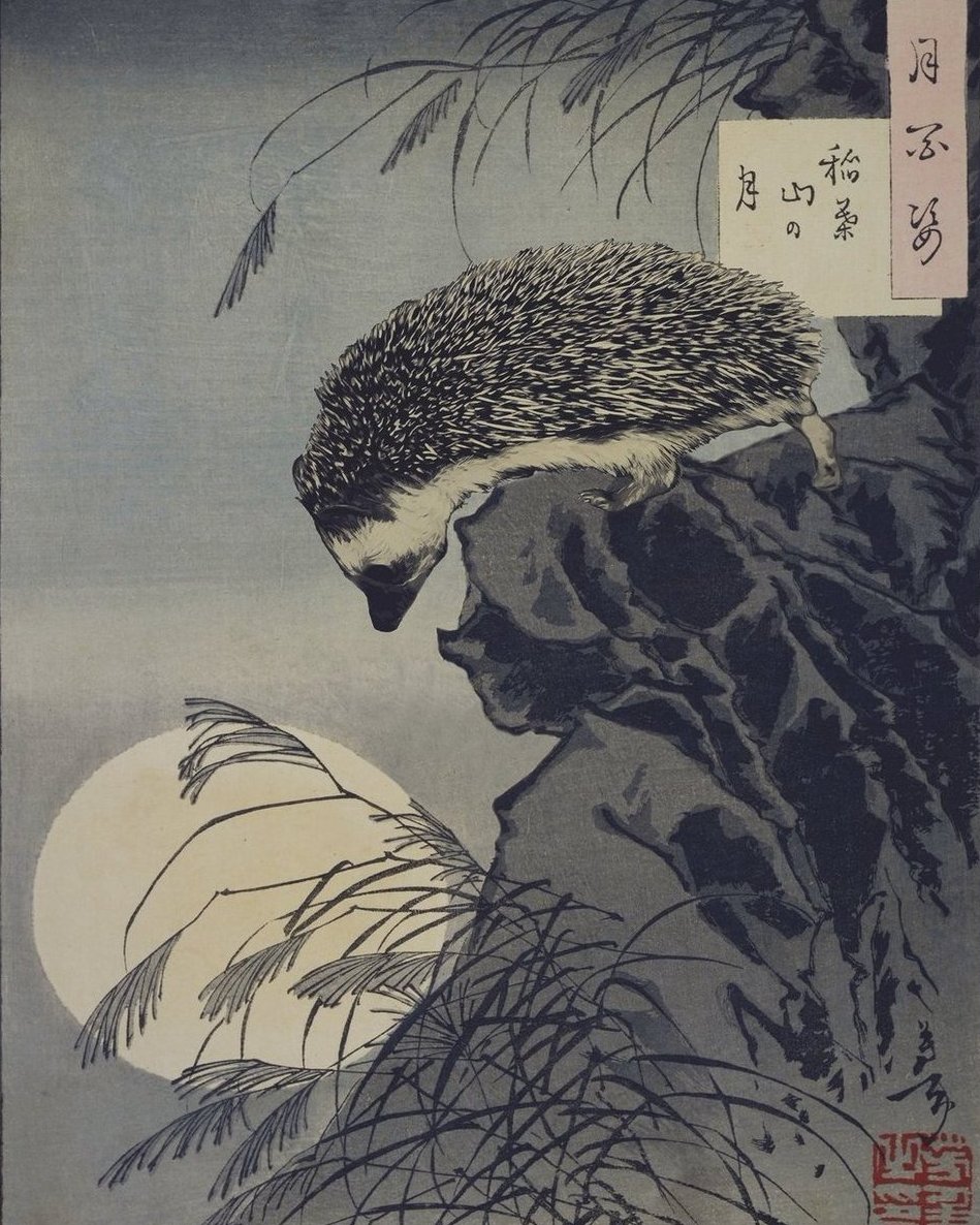 marysia_cc's tweet photo. Taiso Yoshitoshi's "Hedgehog Princess Peering at Moon from Cliff" https://t.co/iFM3lyYh4p