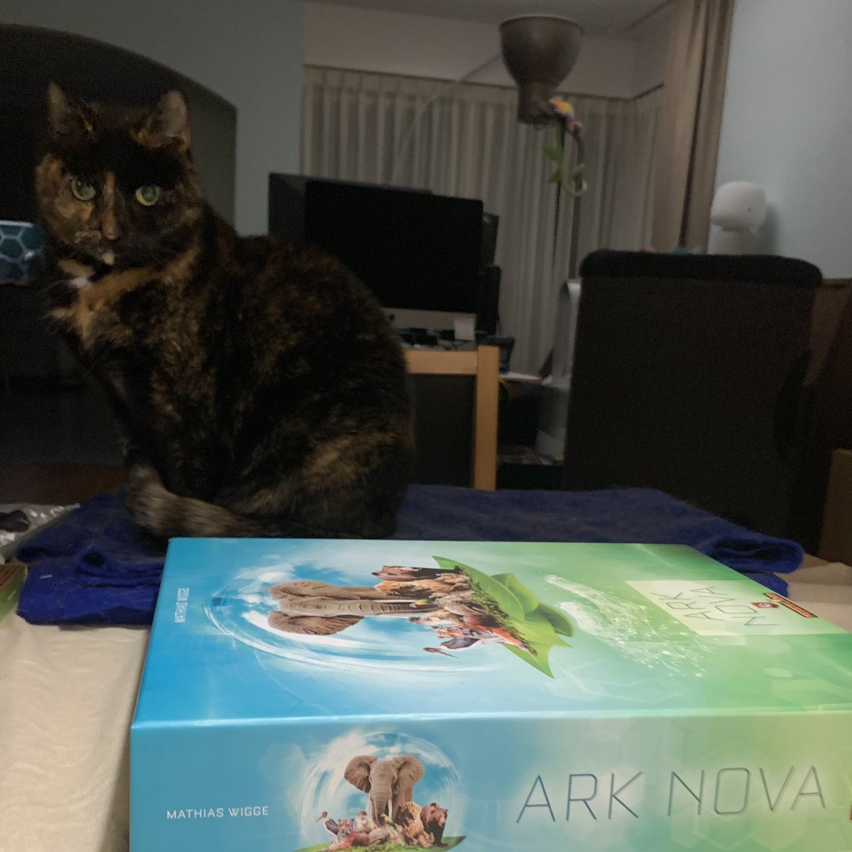Ark Nova we missed you! #ArkNova