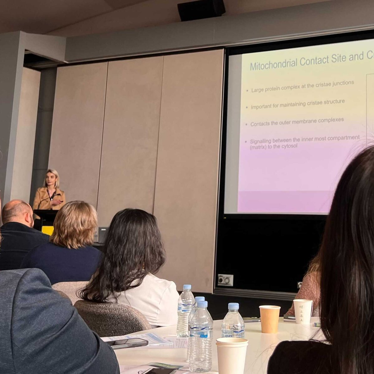 Luke Formosa tweet media