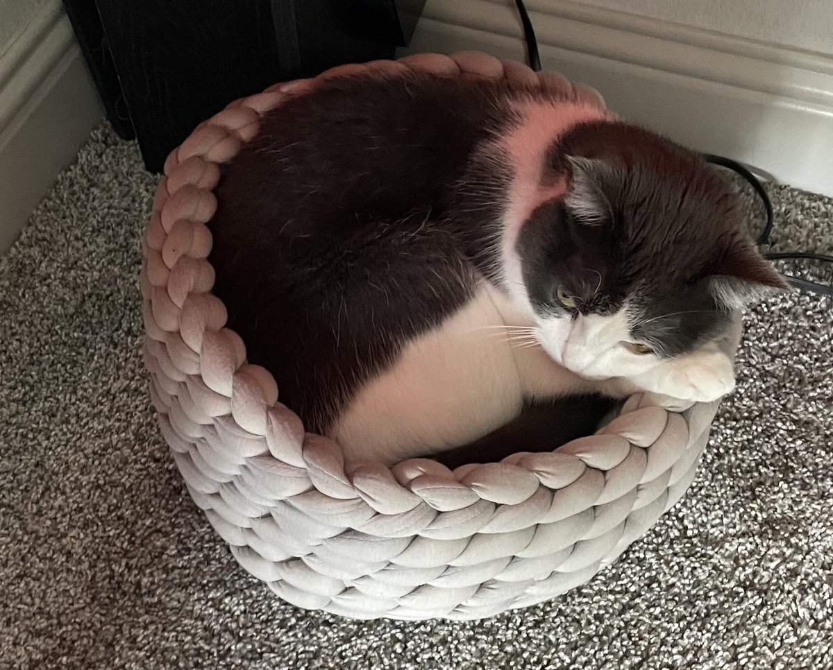 mrsbuttts's tweet photo. first time someone has used this bed!! little boy won’t leave my side today, so he’s under my desk being my shadow https://t.co/ofpoaGGycw