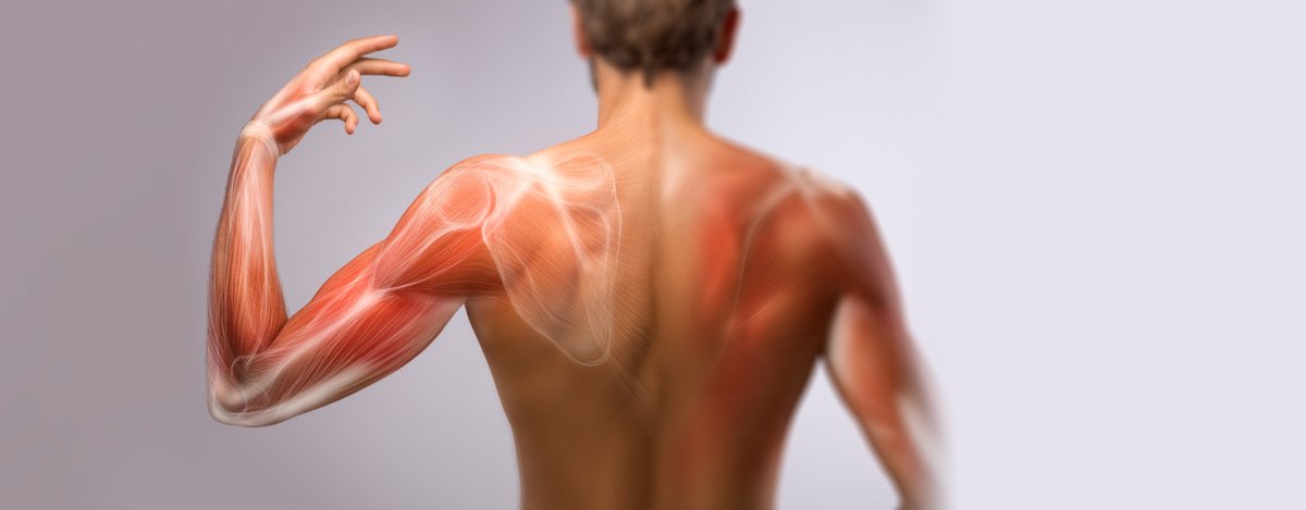 Voor een goede #diagnose is het verhaal dat u over uw klachten vertelt van groot belang. Daarnaast vindt er altijd een onderzoek van #spieren, #pezen en #gewrichten plaats. Ter bevestiging van de diagnose kan bij <a href="/Paulidesfysio/">Paulides + Partners</a> een aanvullend #echografisch onderzoek plaatsvinden.