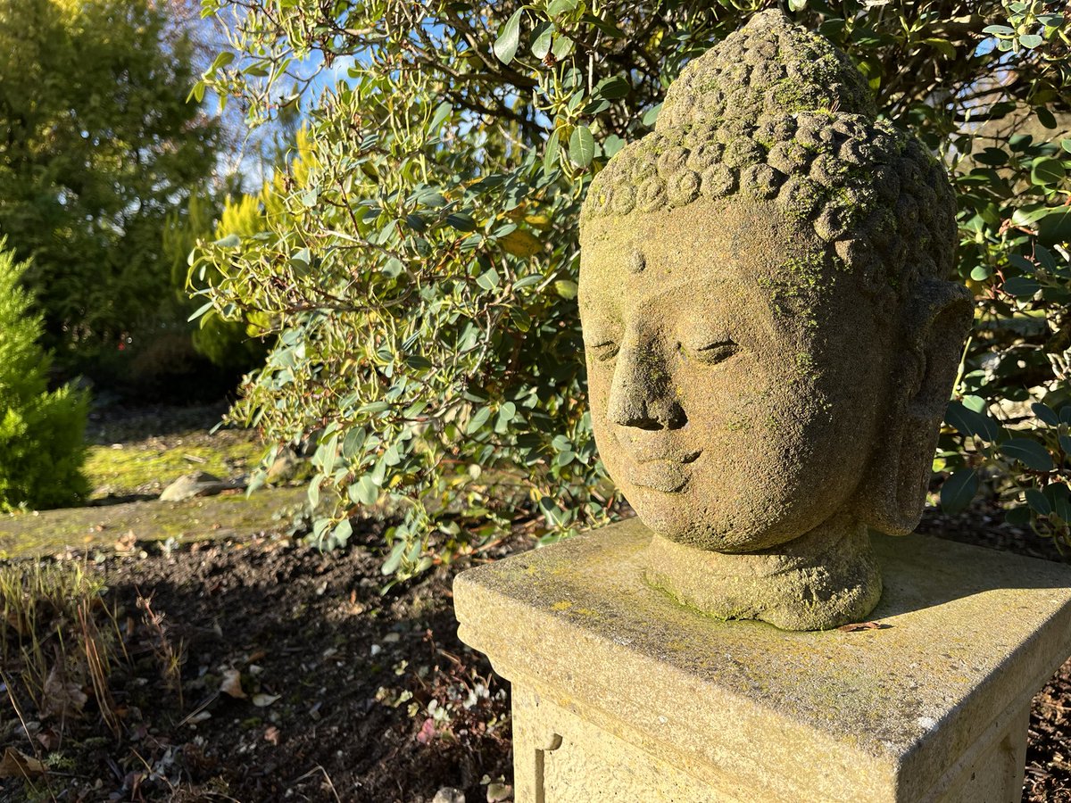 jmooney501's tweet photo. A garden home and a beautiful day to be tending the beds around it #GardeningTwitter #garden https://t.co/TL6ewYWD6m