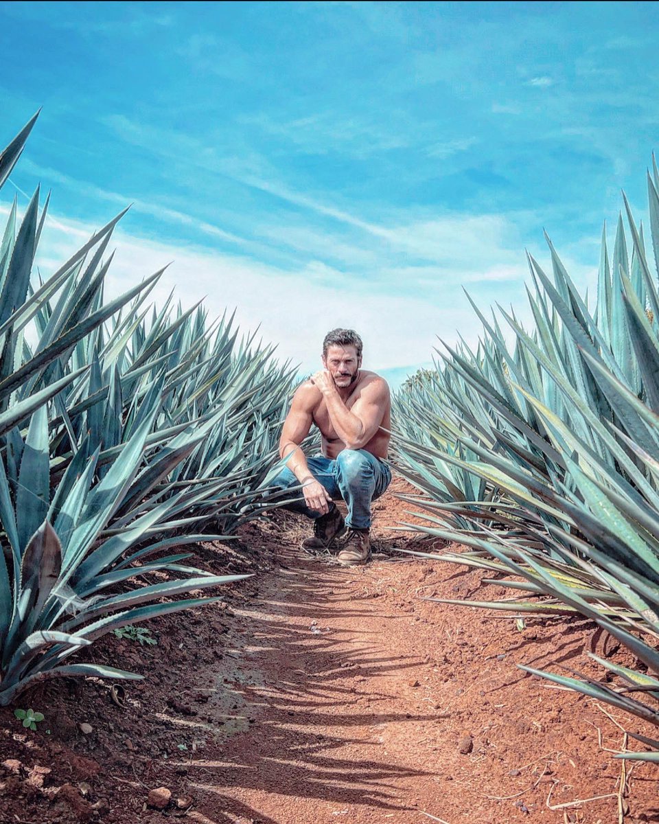 Alberto Pavón tweet media