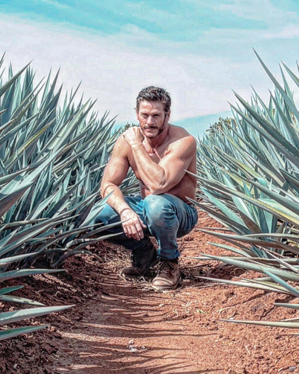 Alberto Pavón tweet media