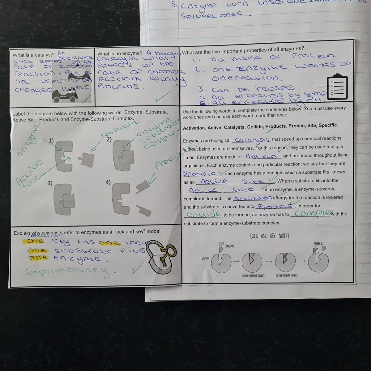 AldersleyTeam10's tweet photo. Love getting some amazing emails about Y10 smashing their lessons. Well done Zane, Paige M, Kyra and Liam W for being fabulous in Science. Mr Abraham is super proud of you and so am I. I have awarded R3s for all of you. Keep it up. #ChallengeYourself #ProudASL #TeamYear10 https://t.co/R1AhBdqqSR