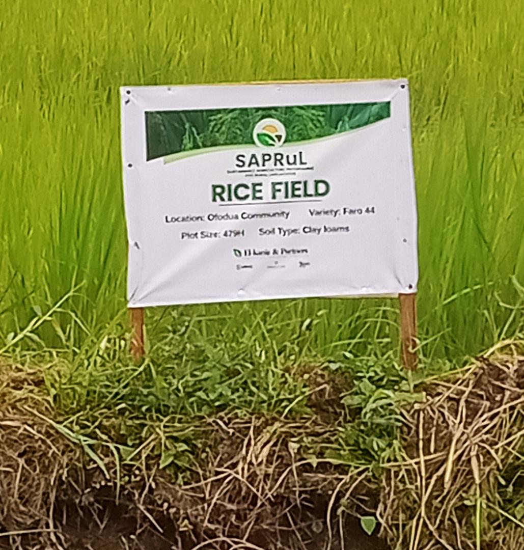 El-kanis & Partners tweet media