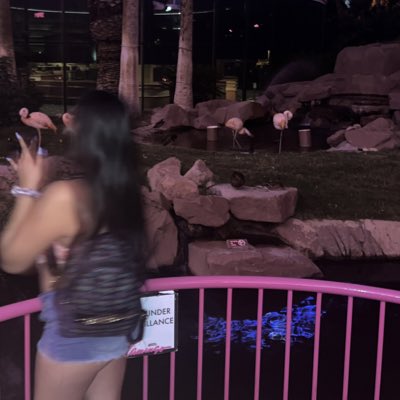 serrotdiamond's tweet photo. #NewProfilePic https://t.co/9uvmFJAWmr