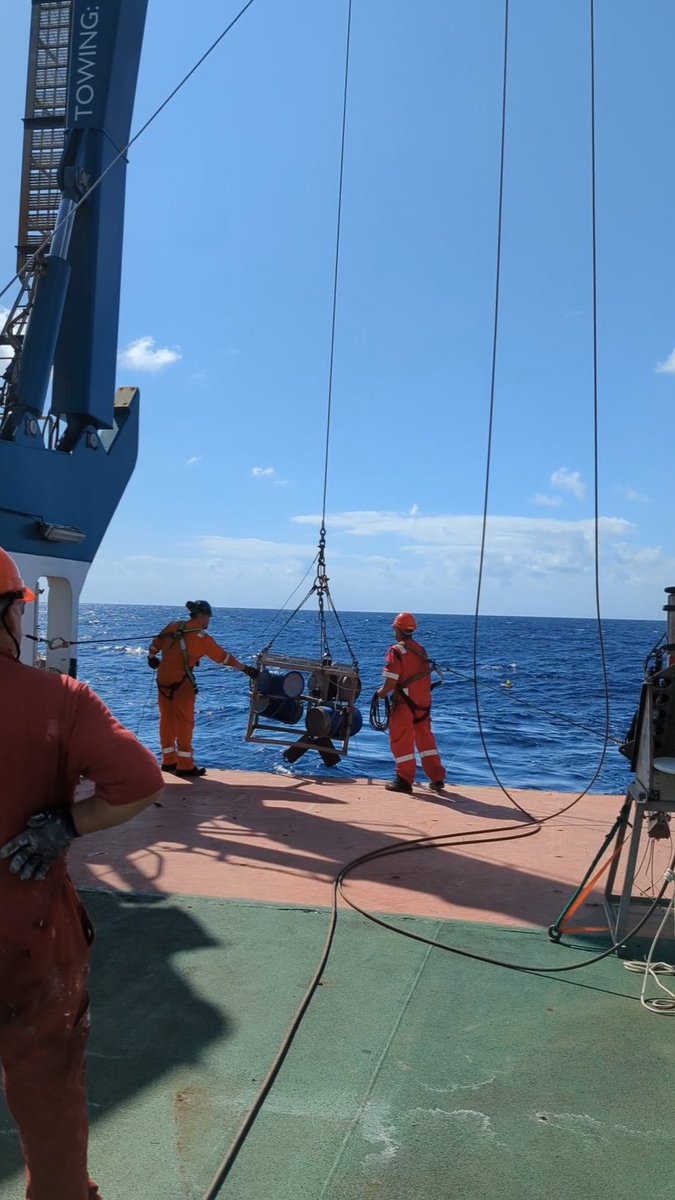Arrived at Young #seamount. Our first deployment was a scavanger trap targeting #amphipods followed by a #CTD drop.