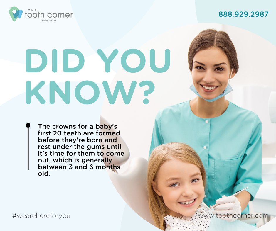 toothcorner's tweet photo. #wednesdayfact A baby's first set of teeth are incredibly important - they help with chewing, biting and speaking clearly. But if they're not taken care of properly, they can lead to a number of problems down the road.

 #pediatrician #pediatric #kids #childrendentistry #ontario https://t.co/GraAkxlQWW