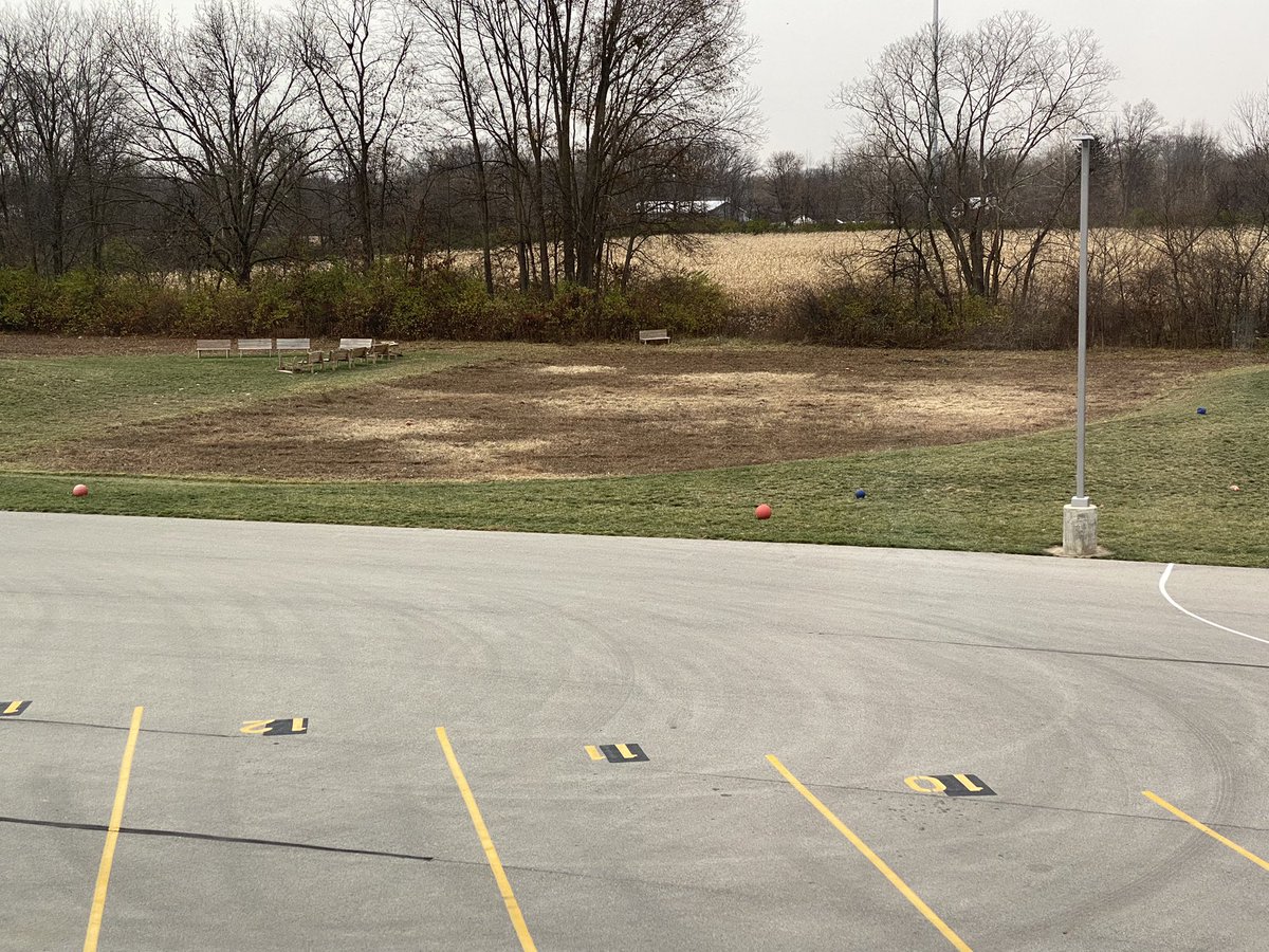 Ashley Vogel tweet media