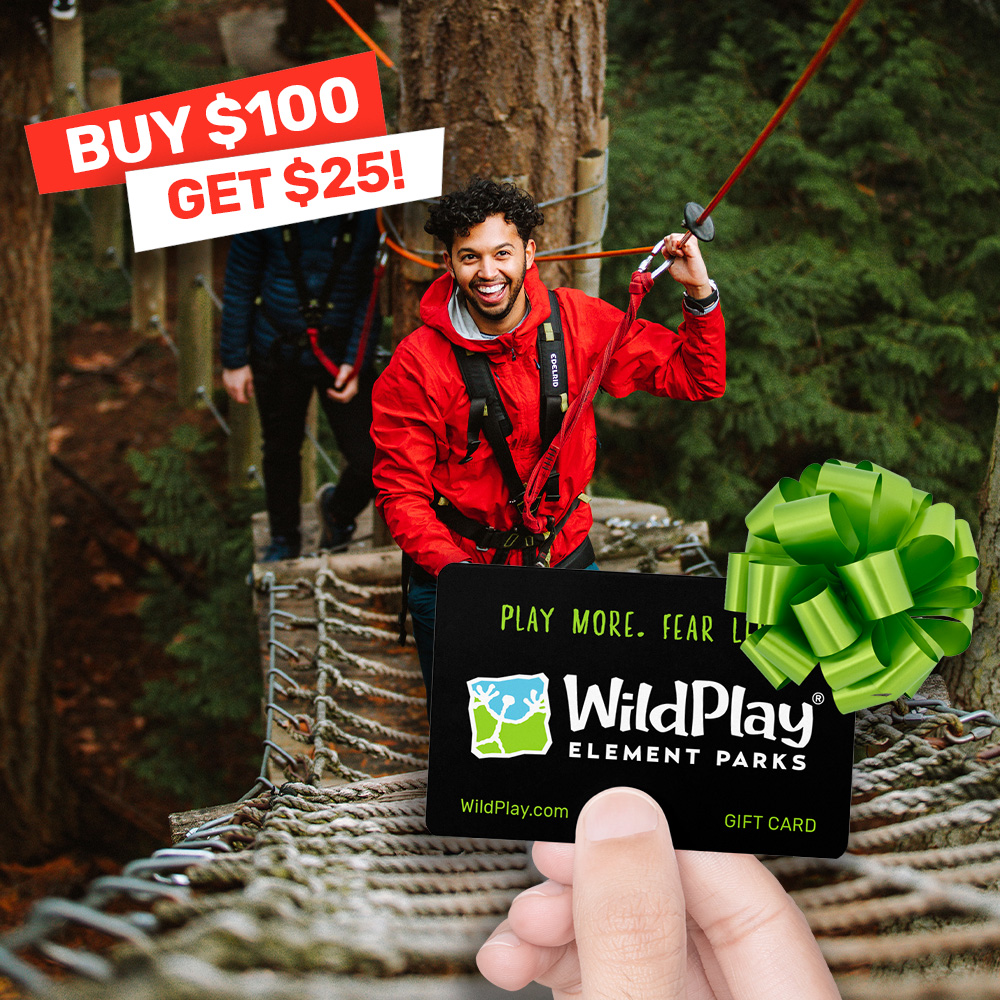 Say hello to the ultimate adventure gift this holiday season! 🎁 Get $25 BONUS credit when you buy a $100 WildPlay Gift Card! This is your ticket to adventure at all WildPlay Parks in Canada. Don't wait, sale ends soon!

Shop Gift Cards »  wildplay.com/store-cad