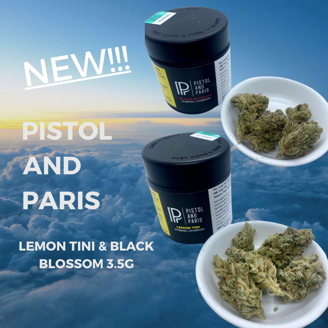 spiritleafmaple's tweet photo. Two new delectable strains available from @BrandPistol 🤤🤤 

BLACK BLOSSOM &amp; LEMON TINI https://t.co/19vZYFALf7