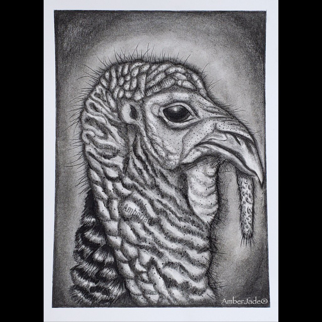 ArtistAmberJade's tweet photo. “Tom” AmberJade®
#charcoal #charcoaldrawing #artist #art #contemporaryart @FaberCastellUSA #Turkey 

#AmberJade #uniquelymyway https://t.co/aYMOAOFfdY