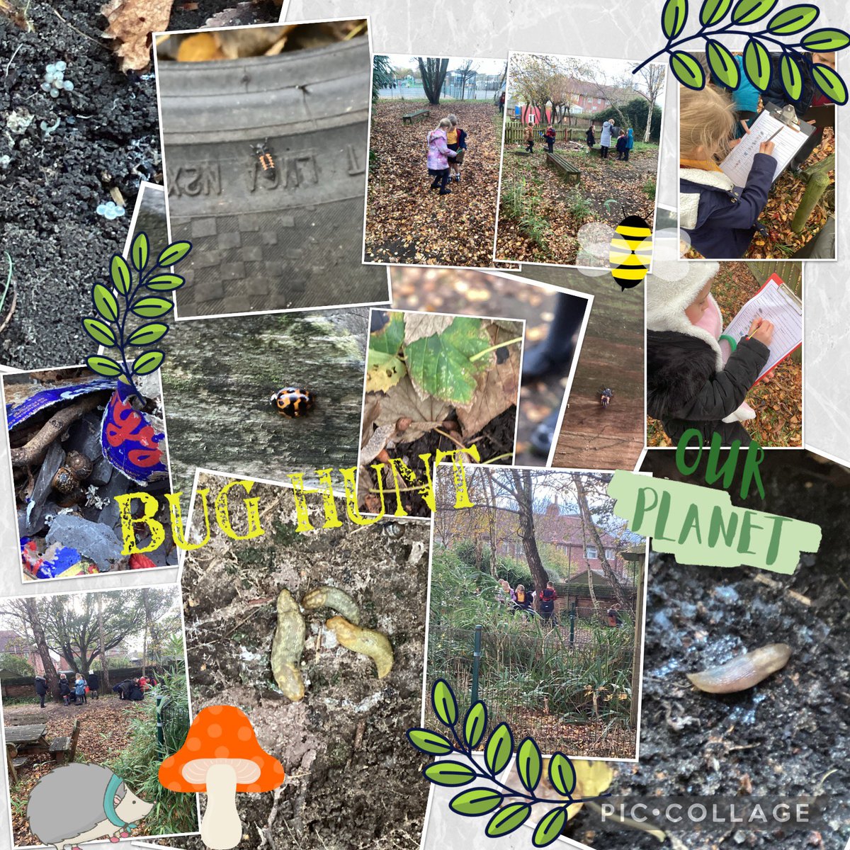 FRISroom13's tweet photo. In our Science lesson this afternoon, we were investigating microhabitats in our school grounds. We looked under logs, leaves, inside old tyres, bug hotels and on trees. Here we are in action! We used our tally charts to record the minibeasts we found. #frisscience ππππͺ±ππ·πͺ° https://t.co/fyxdwbDidz