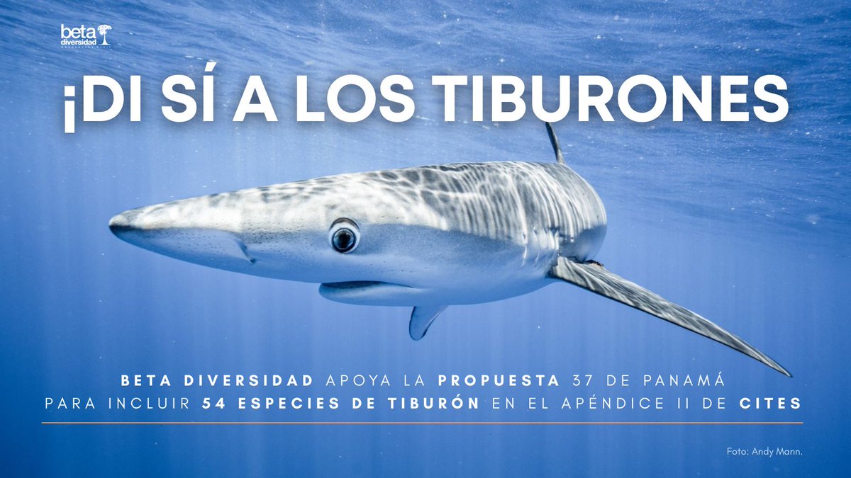 Beta Diversidad tweet media