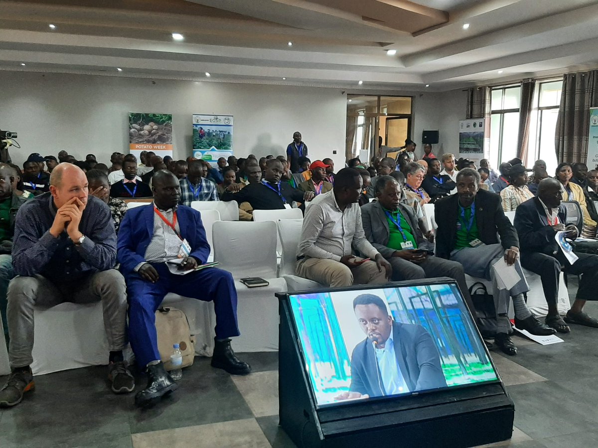 AgriterraRwanda's tweet photo. Participants from @Agriterra, @ImbaragaO, @spf_ikigega, and @isabu_officiel were among the panel on "transborder trade", which conveyed interesting ideas on the role of each of Rwanda's neighboring countries to bring about safe and systematic potato trading.
#potatoweek 2022 https://t.co/6Ltydfqaxu