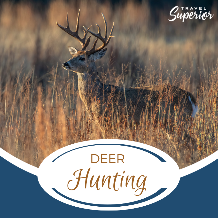 TravelSupWI's tweet photo. With more than 278,000 acres, the Douglas County Forest is an ideal place for those who enjoy hunting and trapping a variety of species.

Learn more about rules and regulations at https://t.co/4nwUvBrS8o.

#TravelSuperior #Events #LocalEvents #SuperiorDouglasCounty #LakeSuperior https://t.co/Xf4LJI69HN